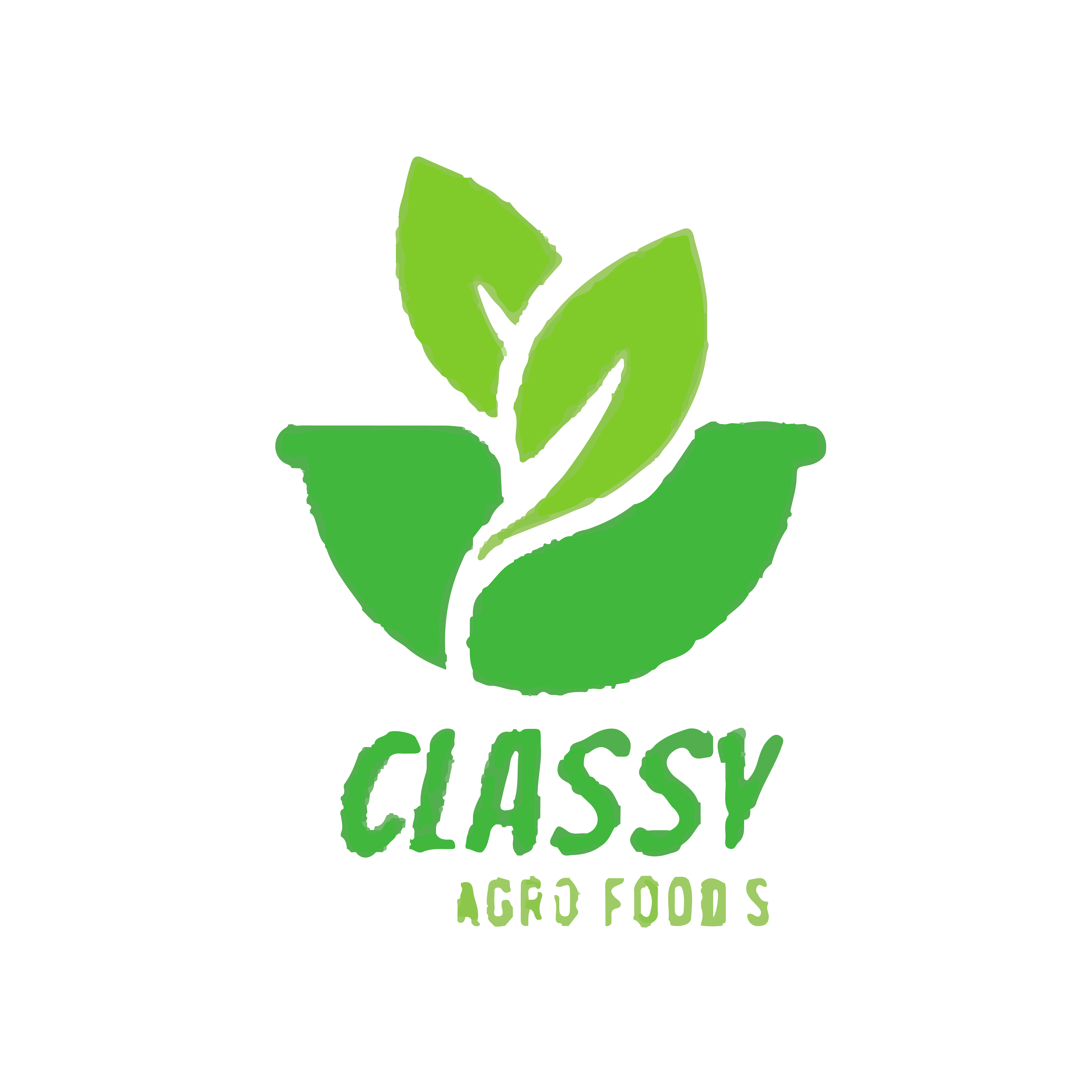 Classyagrofoods